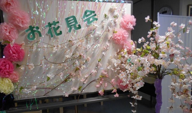 河川敷のしだれ桜