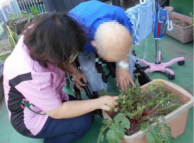 プランターでの植物の育て方をアドバイス