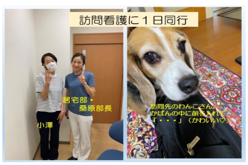 Ozawattiの徒然なるままに
