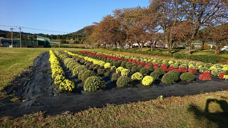 秦野戸川公園