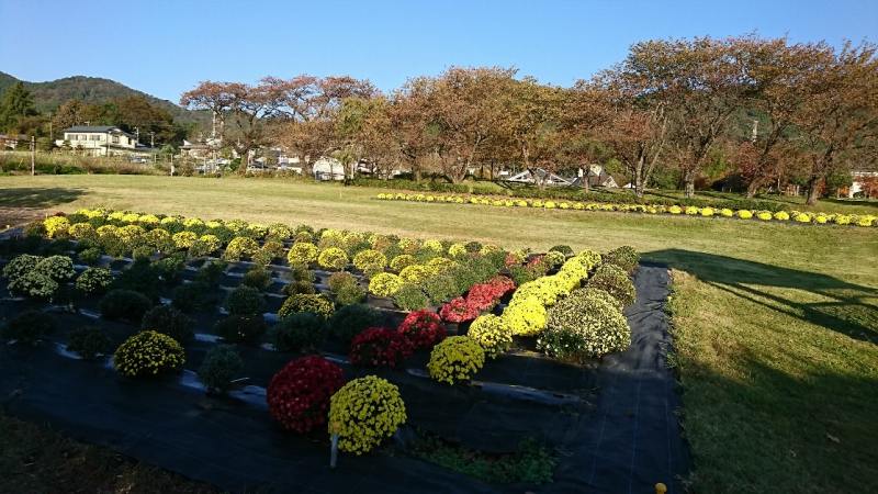 秦野戸川公園
