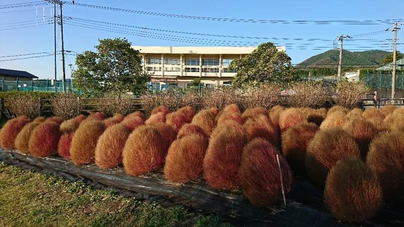秦野戸川公園