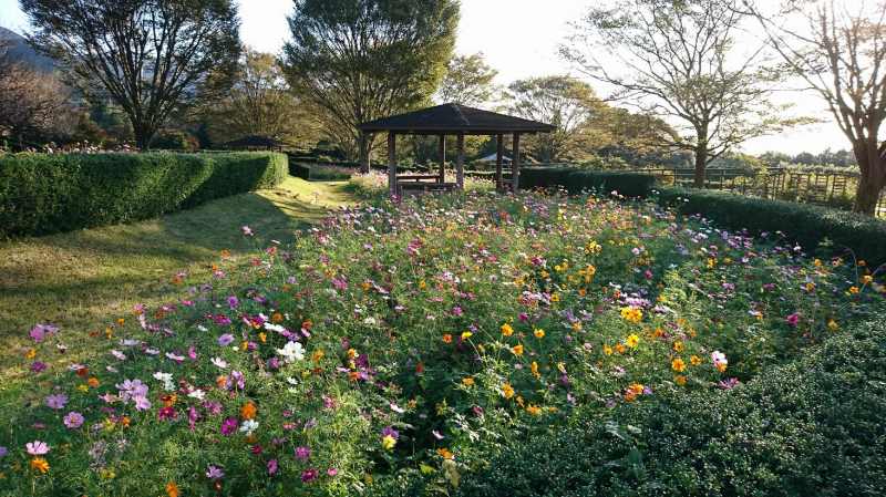 秦野戸川公園