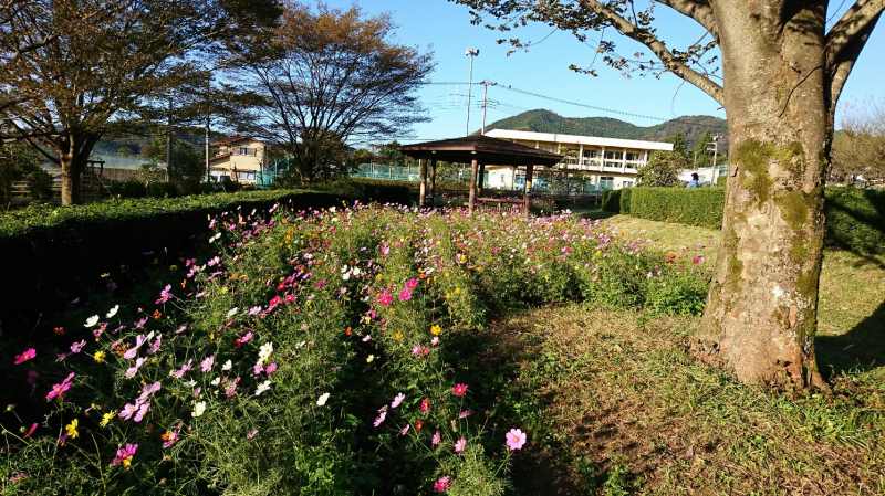 秦野戸川公園