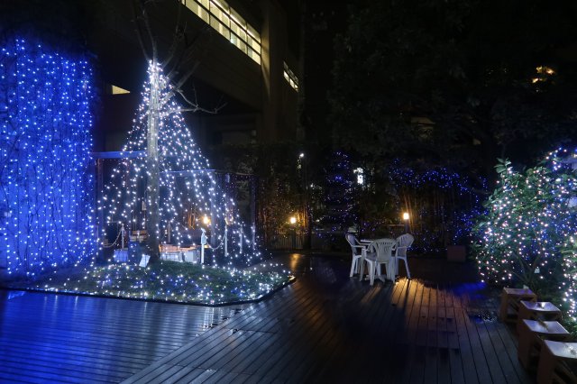 本館中庭のイルミネーション