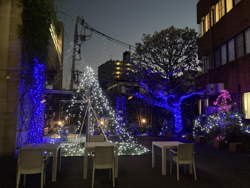 中庭 夜のイルミネーション