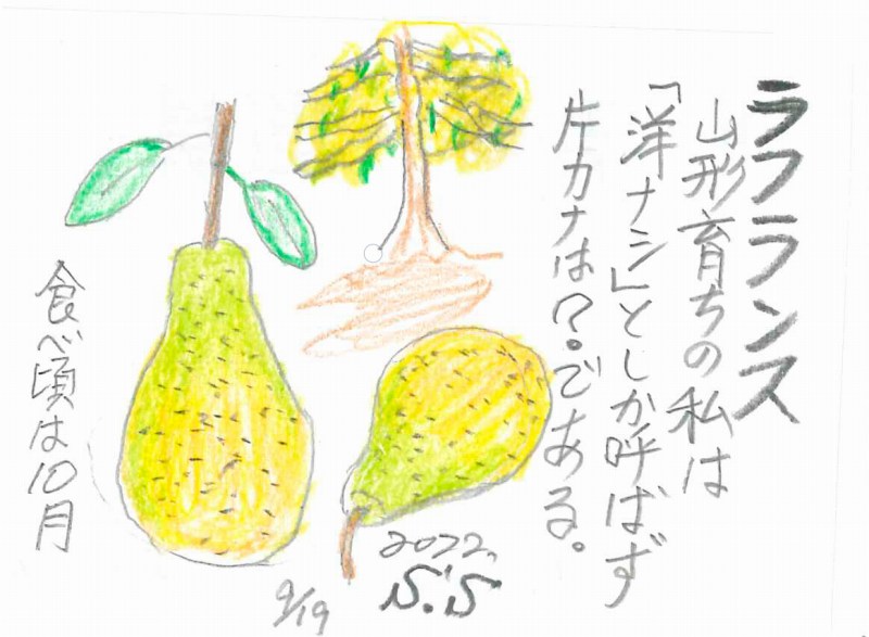 「食札」に描かれた素敵なメッセージ