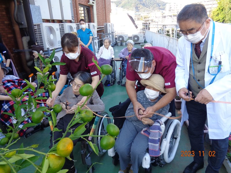 みかんの収穫祭