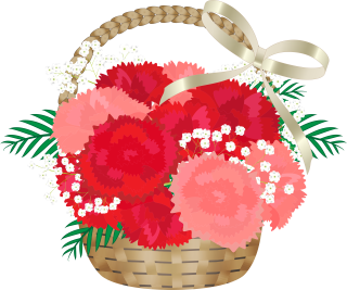 27382749 (1).png